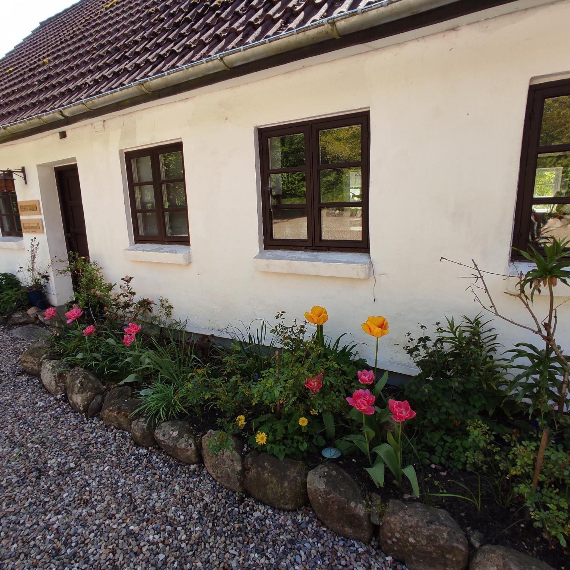 Emily'S Garden Bed & Breakfast Lintrup Luaran gambar